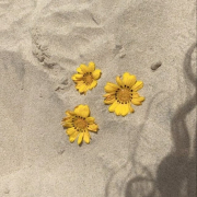L'été, la plage, les vacances... 💙

N'hésitez pas à aller voir nos nouveautés sur notre site internet 
www.soulierscompagnie.com

Nous vous souhaitons une bonne semaine 🌻

#soulierscompagnie #fleurs #flowers #plage #playa #jaune #yellow #yellowflowers🌼