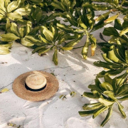 Vous avez passé un bon weekend ? 😊

Pleins de nouveautés arrivent cette semaine, restez connecté ! 

#weekend #chapeau #soleil #branche #plage #été #nouvautés #sable #summervibes #summer #goodvibes